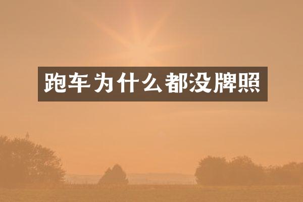 跑车为什么都没牌照