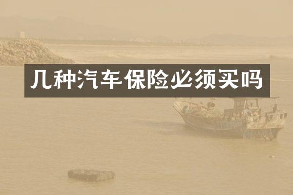 几种汽车保险必须买吗
