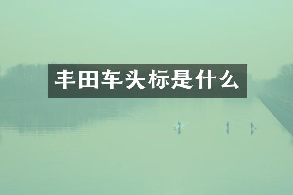 丰田车头标是什么