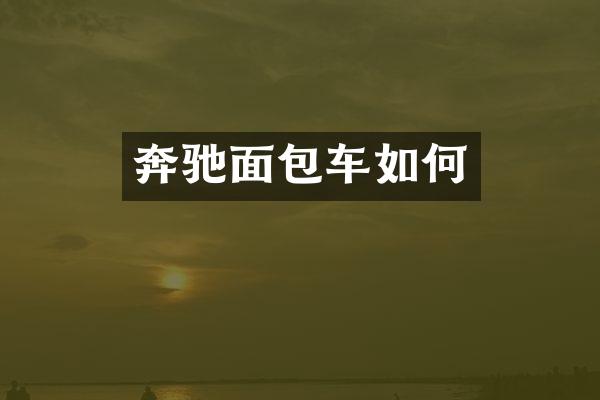 奔驰面包车如何