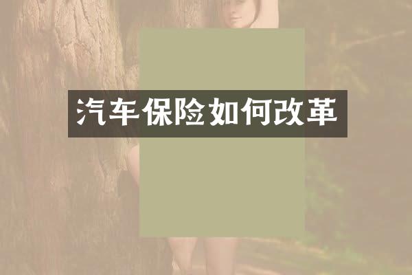 汽车保险如何改革