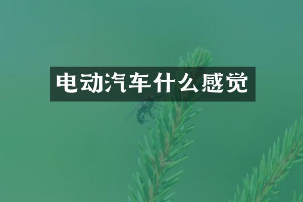 电动汽车什么感觉