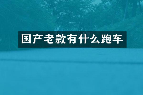 国产老款有什么跑车