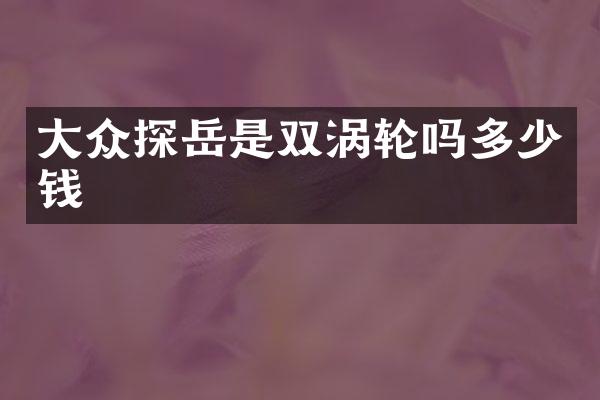 大众探岳是双涡轮吗多少钱