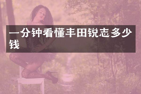 一分钟看懂丰田锐志多少钱
