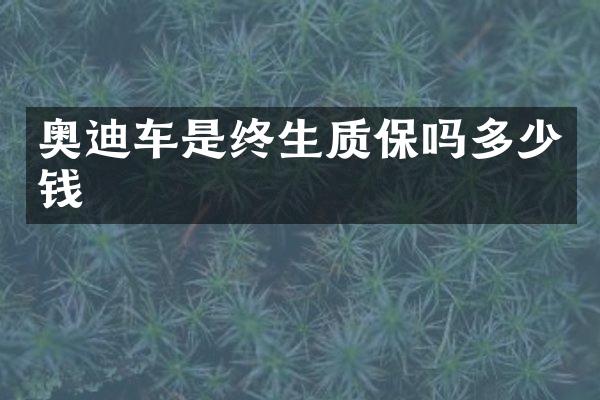 奥迪车是终生质保吗多少钱