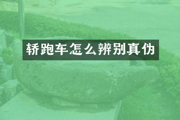 轿跑车怎么辨别真伪