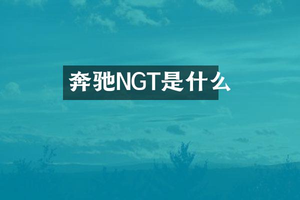 奔驰NGT是什么