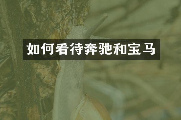 如何看待奔驰和宝马
