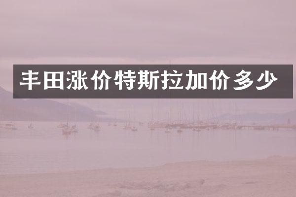 丰田涨价特斯拉加价多少