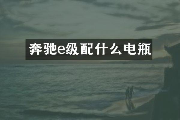 奔驰e级电瓶