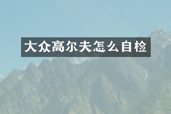 大众高尔夫怎么自检