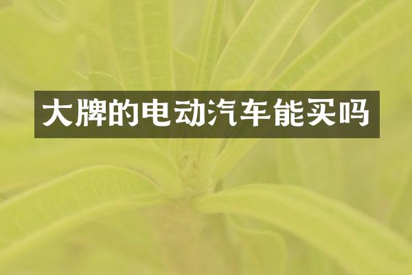 大牌的电动汽车能买吗