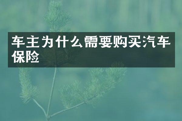 车主为什么需要购买汽车保险