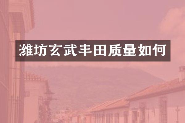 潍坊玄武丰田质量如何