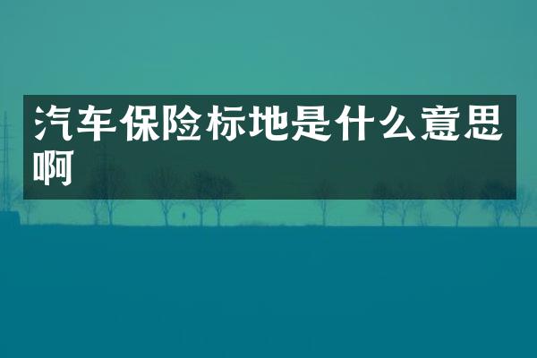 汽车保险标地是什么意思啊