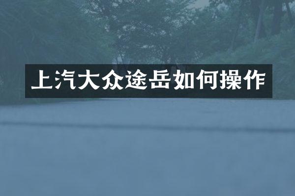 上汽大众途岳如作