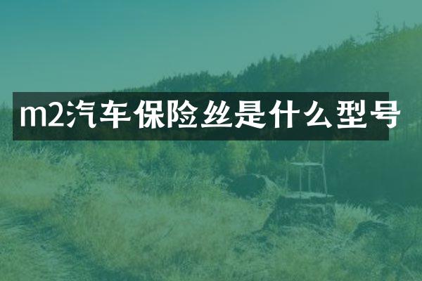 m2汽车保险丝是什么型号