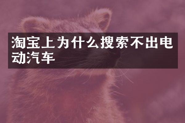 淘宝上为什么搜索不出电动汽车