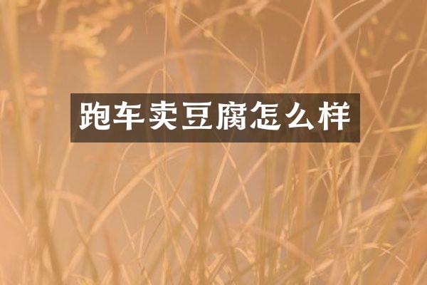 跑车卖豆腐怎么样