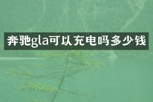 奔驰gla可以充电吗多少钱