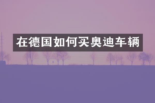 在德国如何买奥迪车辆