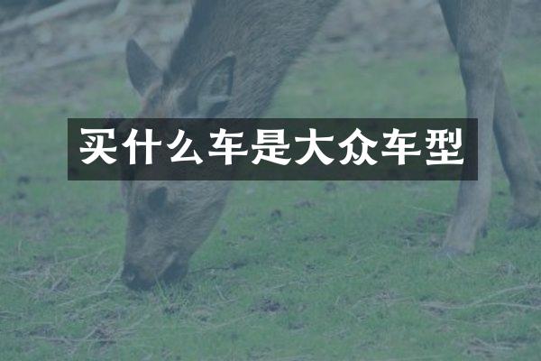 车是大众车型