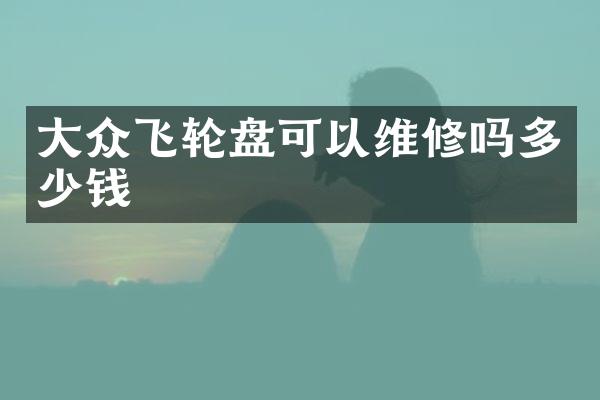 大众飞可以维修吗多少钱