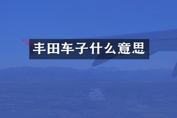 丰田车子什么意思
