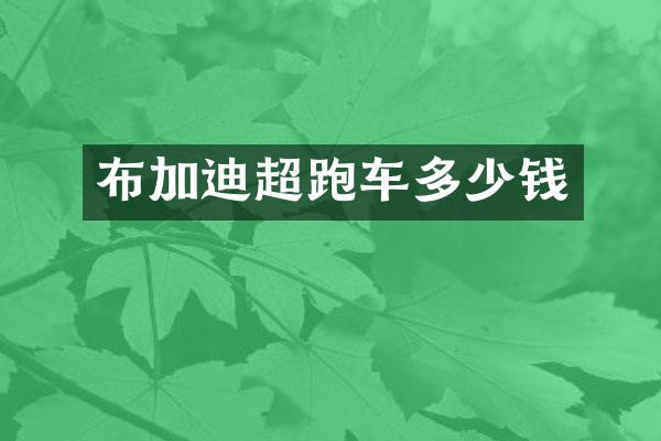 布加迪超跑车多少钱