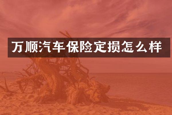 万顺汽车保险定损怎么样
