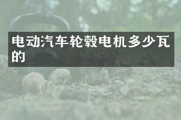 电动汽车轮毂电机多少瓦的