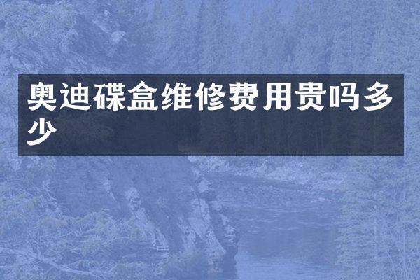 奥迪碟盒维修费用贵吗多少