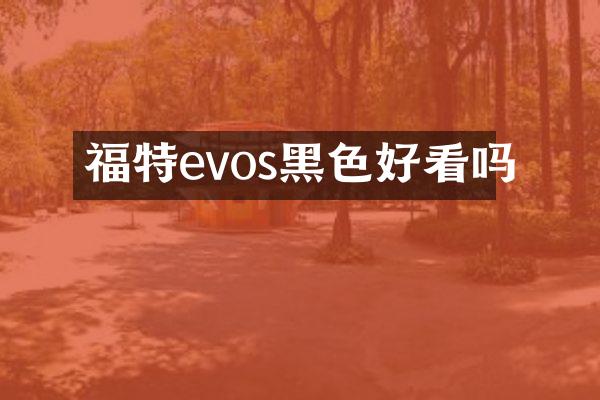福特evos黑色好看吗