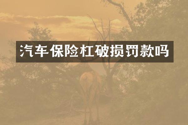 汽车保险杠破损罚款吗