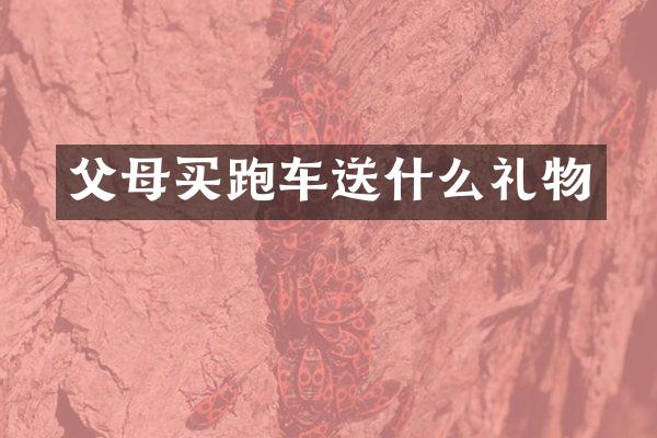 父母买跑车送什么礼物