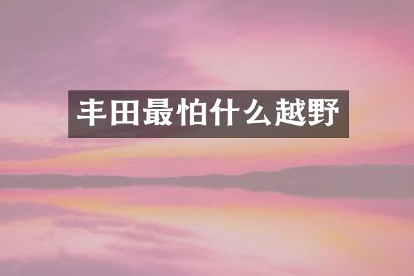 丰田最怕什么越野