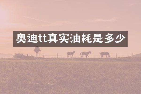 奥迪tt真实油耗是多少