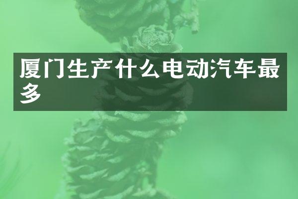 厦门生产什么电动汽车最多