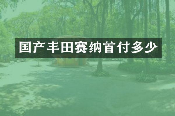 国产丰田赛纳首付多少