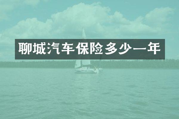 聊城汽车保险多少一年