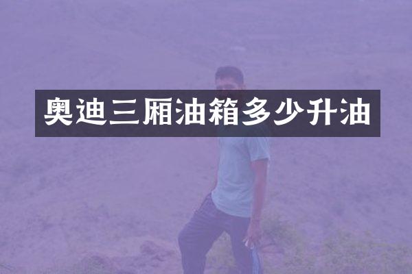 奥迪三厢油箱多少升油