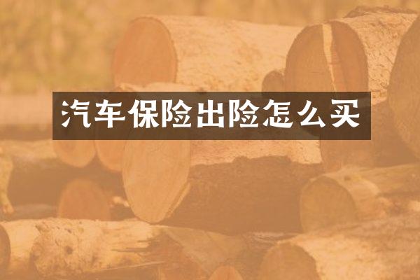 汽车保险出险怎么买