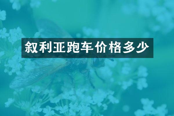 叙利亚跑车价格多少
