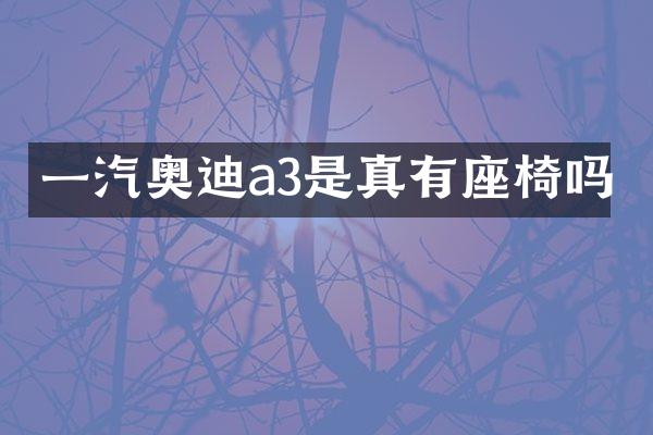 一汽奥迪a3是真有座椅吗