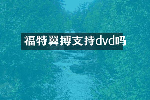 福特翼搏支持dvd吗