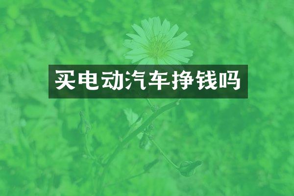 买电动汽车挣钱吗