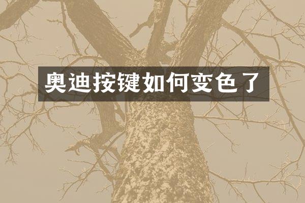 奥迪按键如何变色了