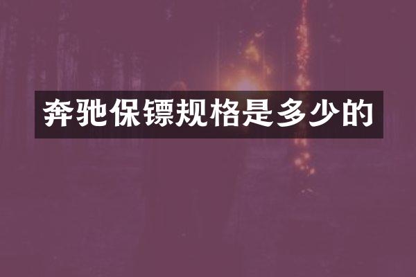 奔驰保镖规格是多少的