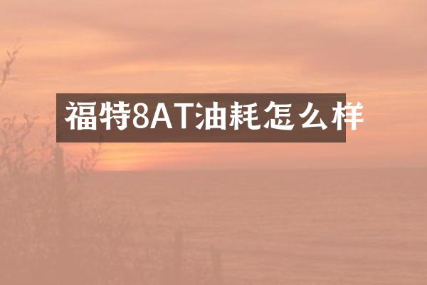 福特8AT油耗怎么样